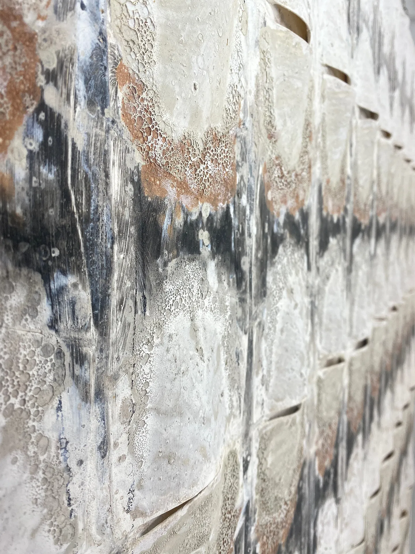 Radiografía de cal detalle 1