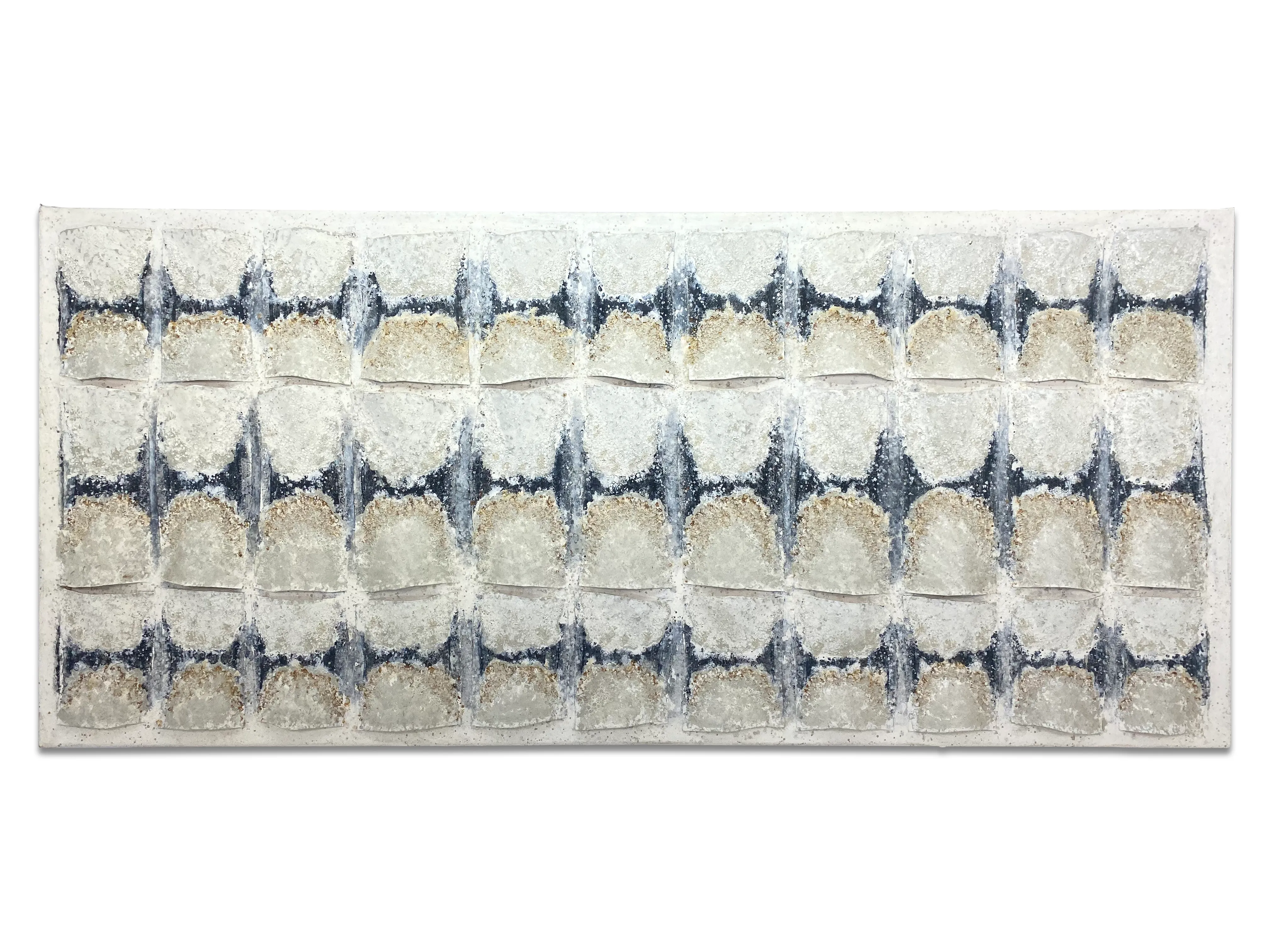 cosido de radiografia vista frontal