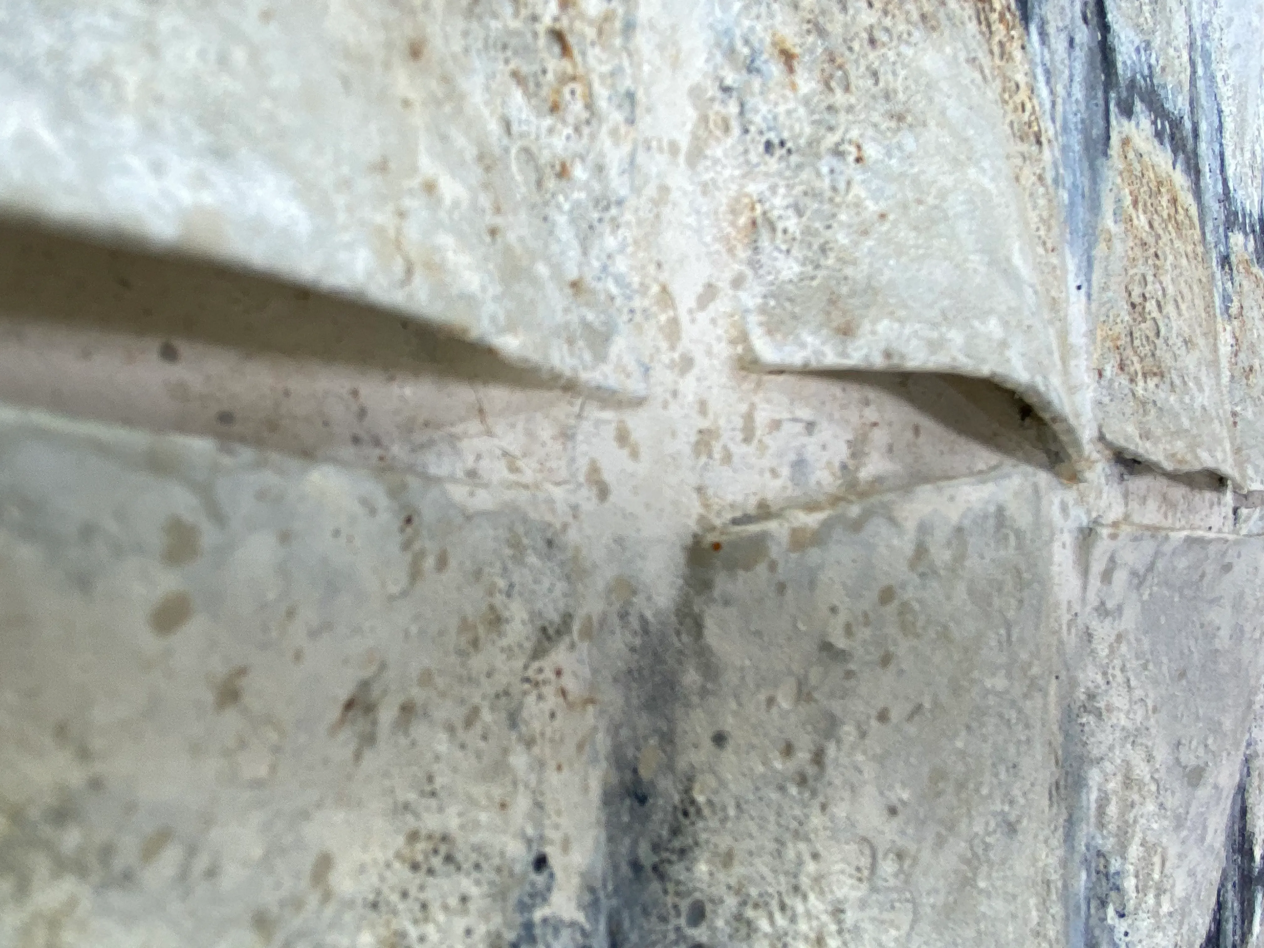 cosido de radiografia detalle 2