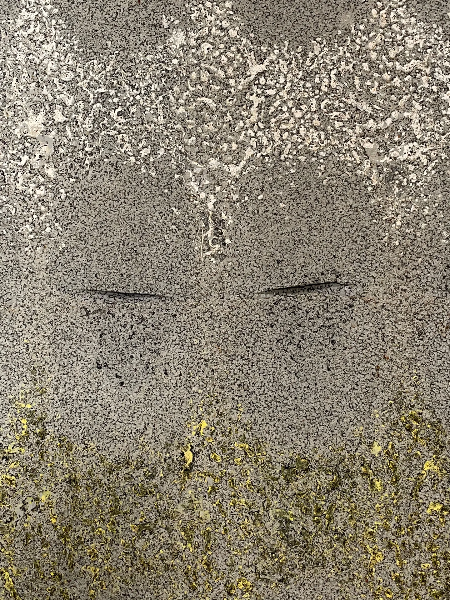 Horizonte de ceniza detalle 1