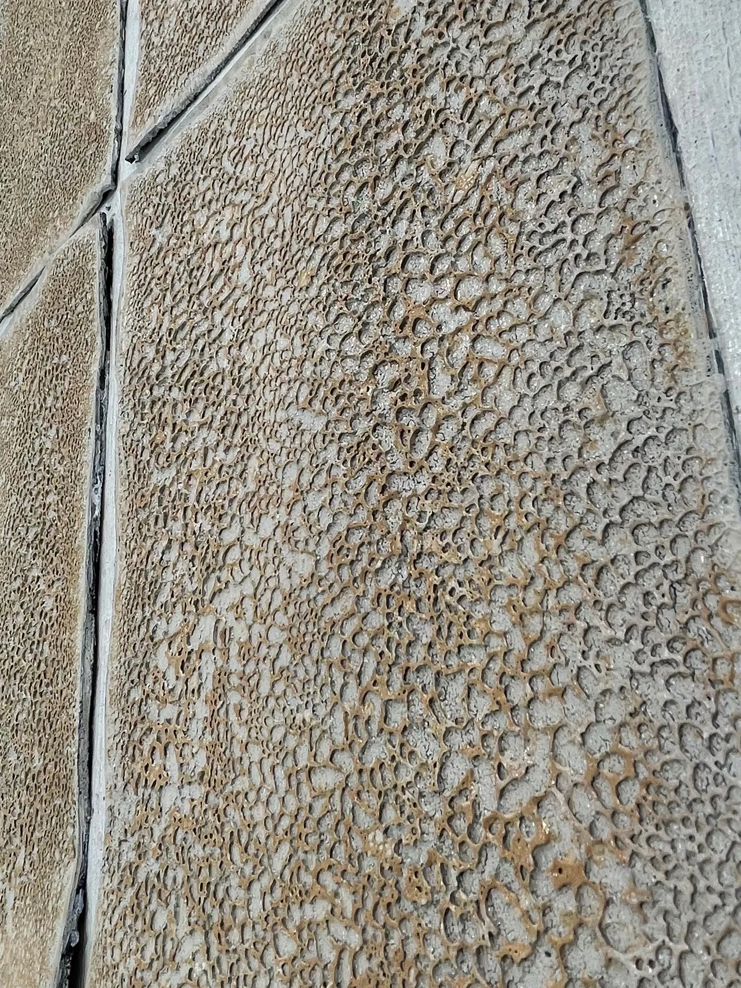 Bisagra de cal detalle 2