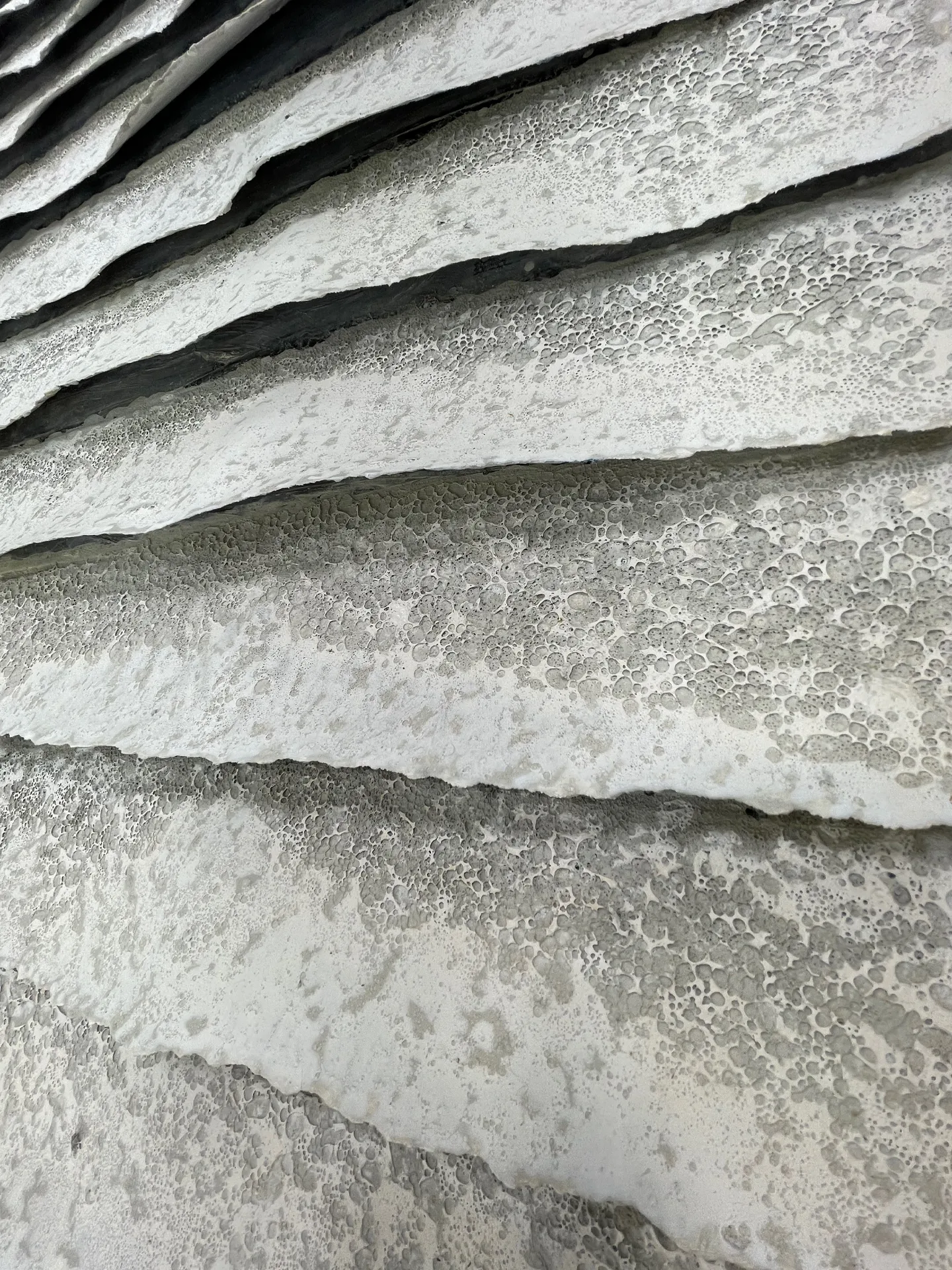 Pliegues de caliza detalle 1