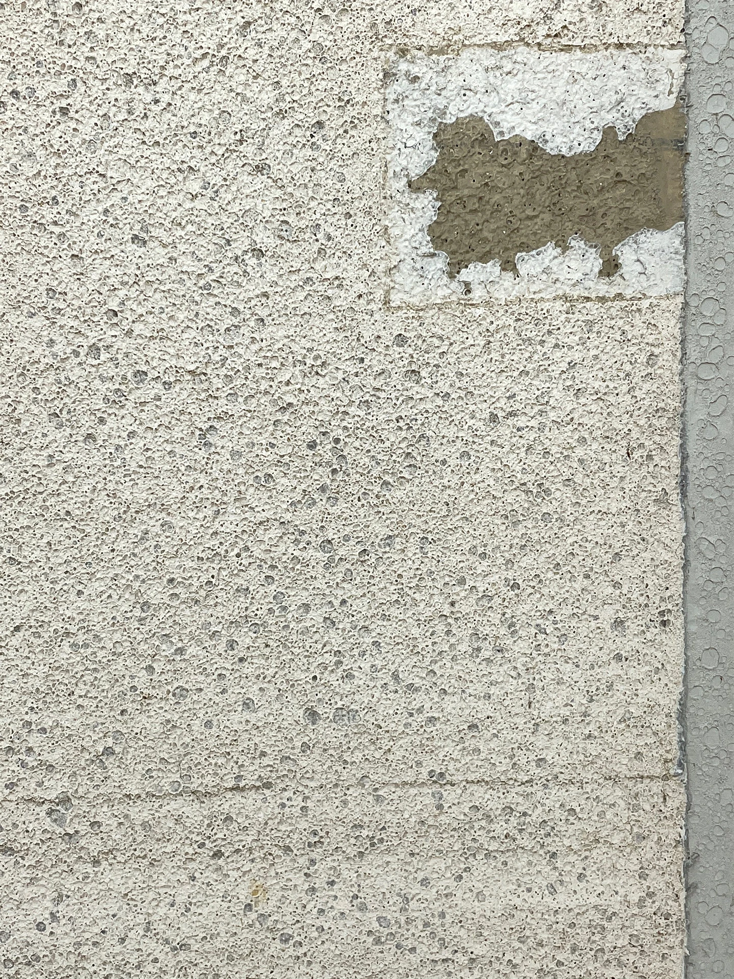 Injertos de cal detalle 1