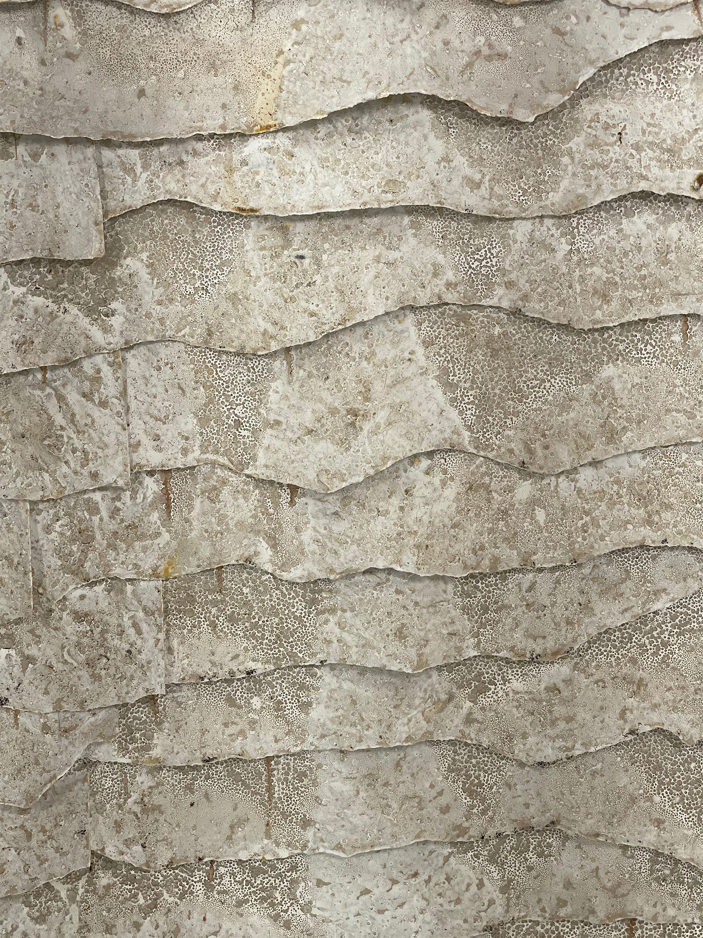 Láminas de cal detalle 1