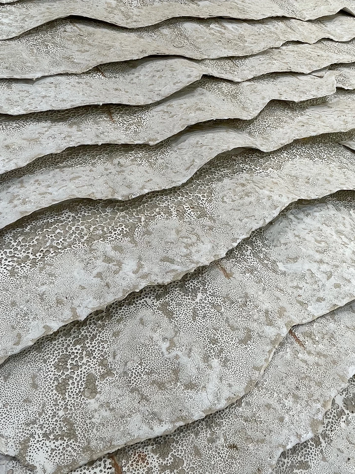 Láminas de cal detalle 2