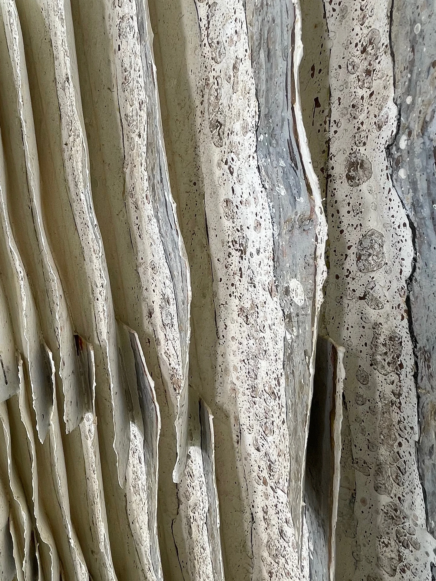 Crestas verticales detalle 1