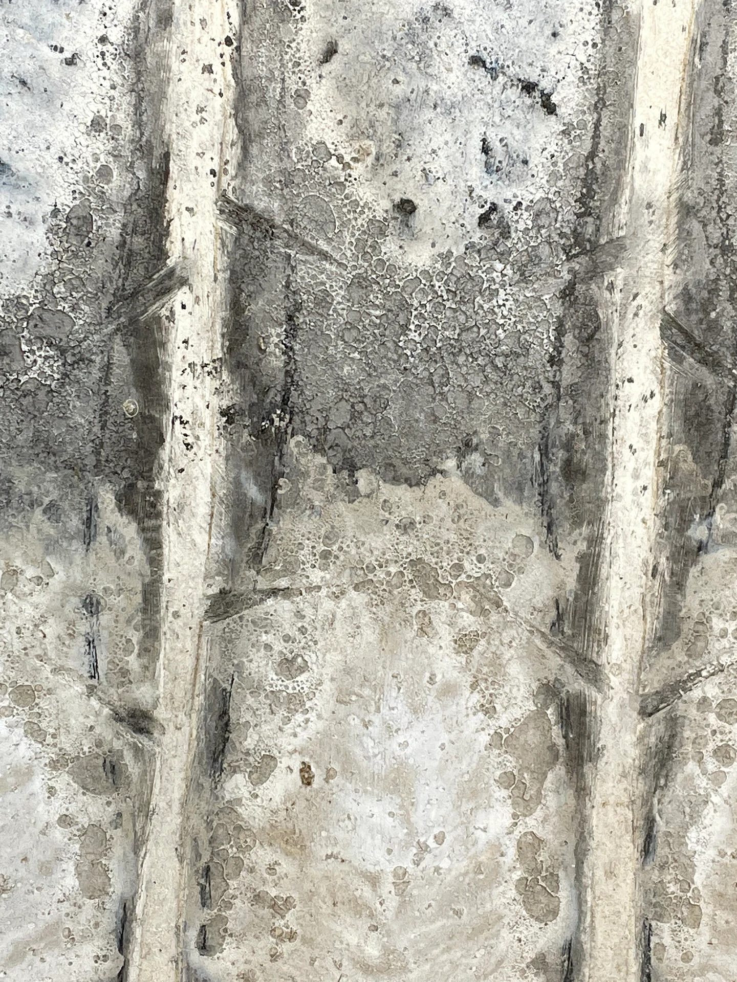 Friso de ceniza detalle 1