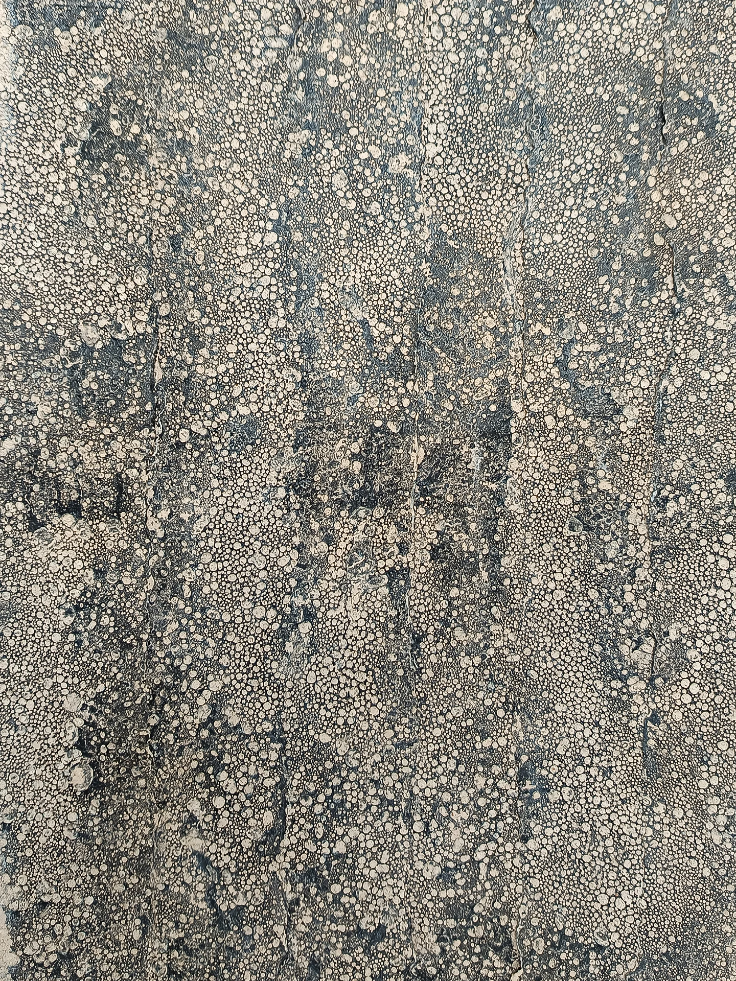 Marea de ceniza detalle 1