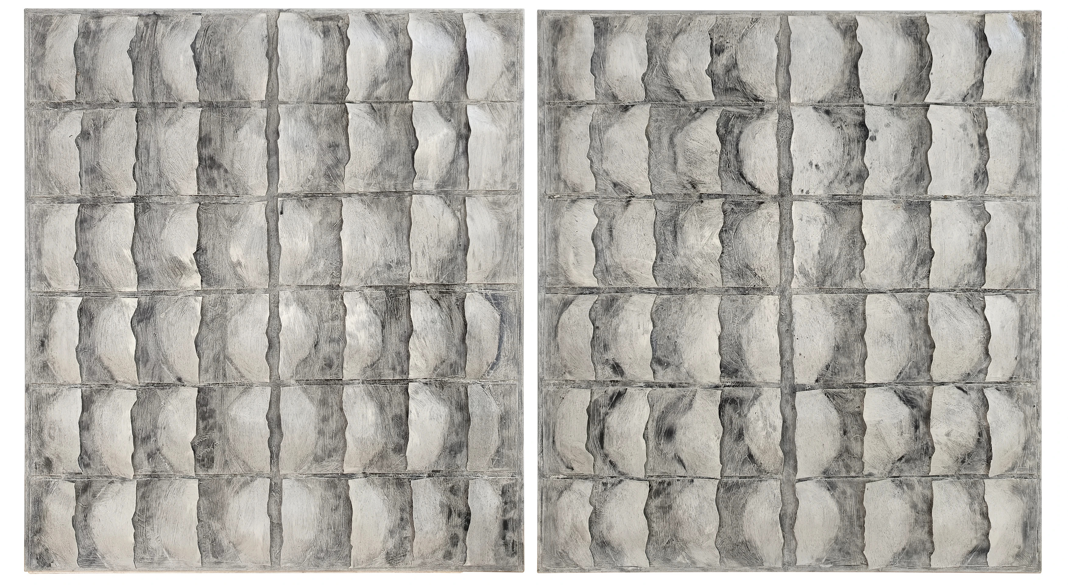 Retícula en penumbra frontal